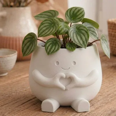 Chậu “Hearty” – Decor đôi tay tạo hình trái tim siêu dễ thương