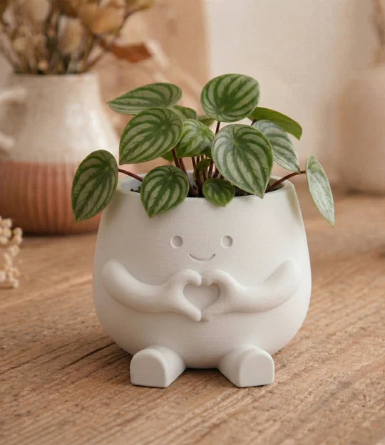 Chậu “Hearty” – Decor đôi tay tạo hình trái tim siêu dễ thương - Image 4