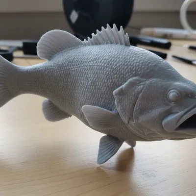 Cá Smallmouth Bass – Mô hình cá rời (Standalone Fish Figure)