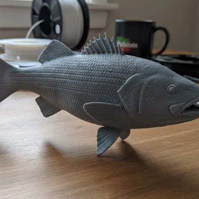 Striped Bass – Tượng Cá Trưng Bày Độc Lập