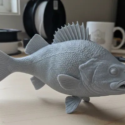 Perch – Tượng cá trưng bày độc lập
