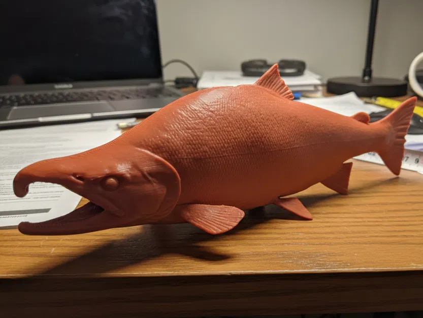 Cá Hồi Sockeye – Mô Hình Cá Trưng Bày Độc Lập - Image 1