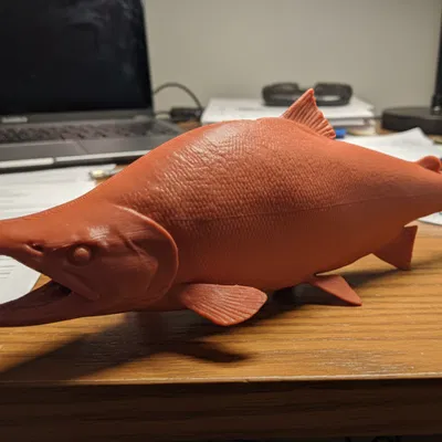 Cá Hồi Sockeye – Mô Hình Cá Trưng Bày Độc Lập