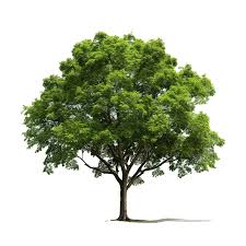 Mô Hình Máy Bay "Aiplane" Độc Đáo Cho Người Yêu Hàng Không - Image 1