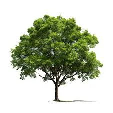 Mô Hình Máy Bay "Aiplane" Độc Đáo Cho Người Yêu Hàng Không