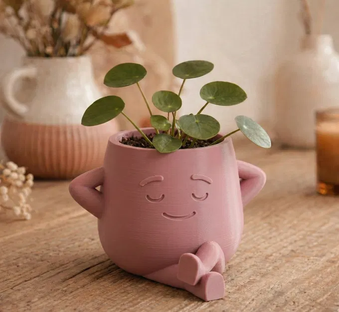 "The Dreamer" - Chậu Cây Zen Ấm Áp & Đồ Trang Trí - Image 1