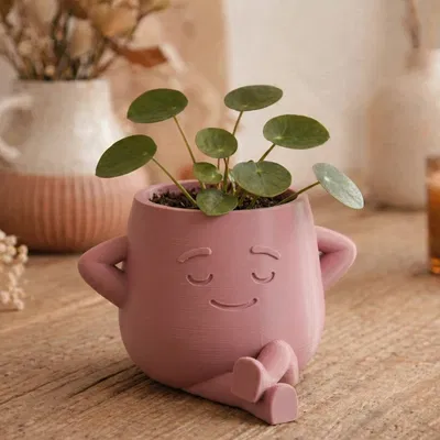 "The Dreamer" - Chậu Cây Zen Ấm Áp & Đồ Trang Trí