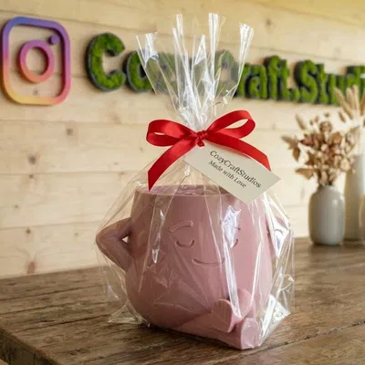 "The Dreamer" - Chậu Cây Zen Ấm Áp & Đồ Trang Trí