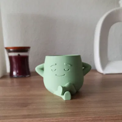 "The Dreamer" - Chậu Cây Zen Ấm Áp & Đồ Trang Trí