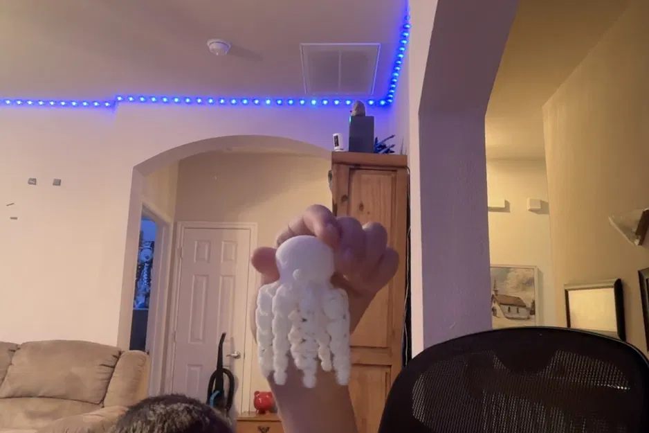 Đồ Chơi Bạch Tuộc Fidget Toy 3D - Giải Tỏa Căng Thẳng Vui Nhộn - Image 1