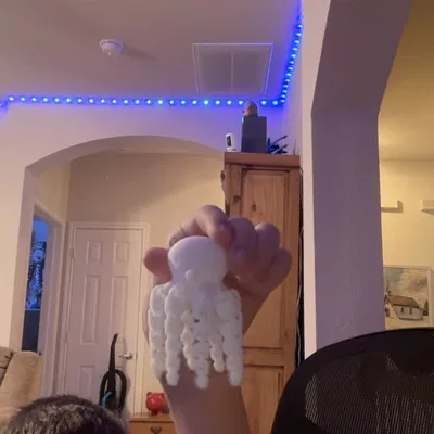 Đồ Chơi Bạch Tuộc Fidget Toy 3D - Giải Tỏa Căng Thẳng Vui Nhộn