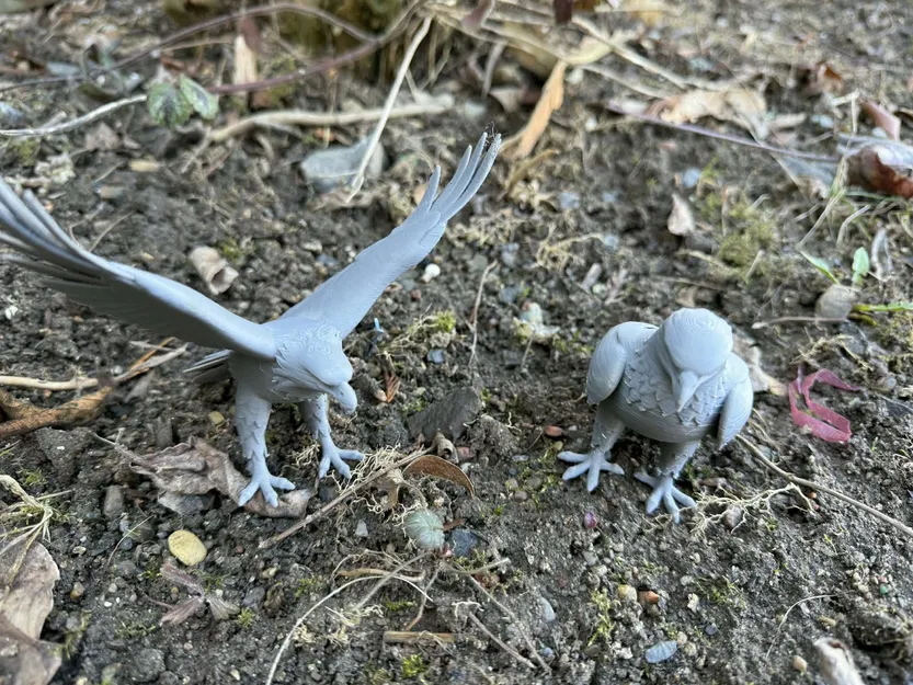 Đại bàng đậu dang rộng cánh (Eagles, sitting, with wings spread) - Image 1