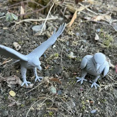 Đại bàng đậu dang rộng cánh (Eagles, sitting, with wings spread)