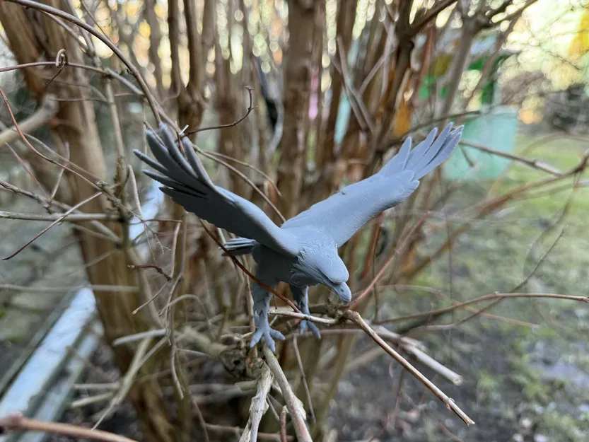 Đại bàng đậu dang rộng cánh (Eagles, sitting, with wings spread) - Image 2
