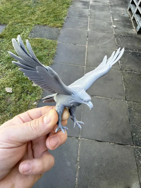 Đại bàng đậu dang rộng cánh (Eagles, sitting, with wings spread) - Image 3