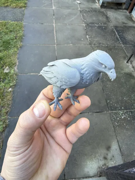 Đại bàng đậu dang rộng cánh (Eagles, sitting, with wings spread) - Image 4