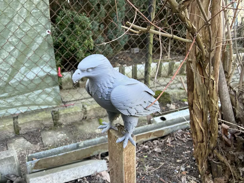 Đại bàng đậu dang rộng cánh (Eagles, sitting, with wings spread) - Image 5