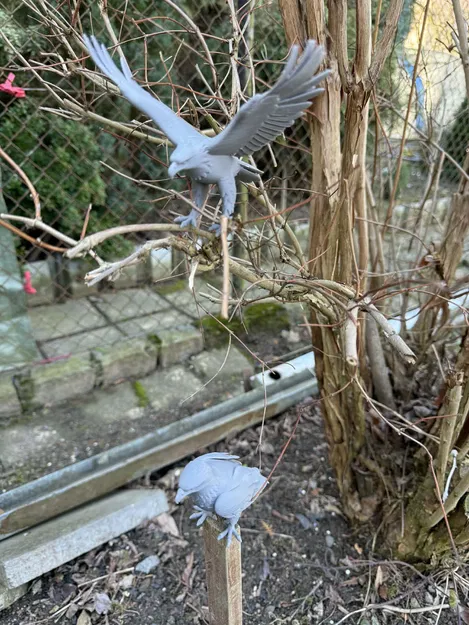 Đại bàng đậu dang rộng cánh (Eagles, sitting, with wings spread) - Image 6