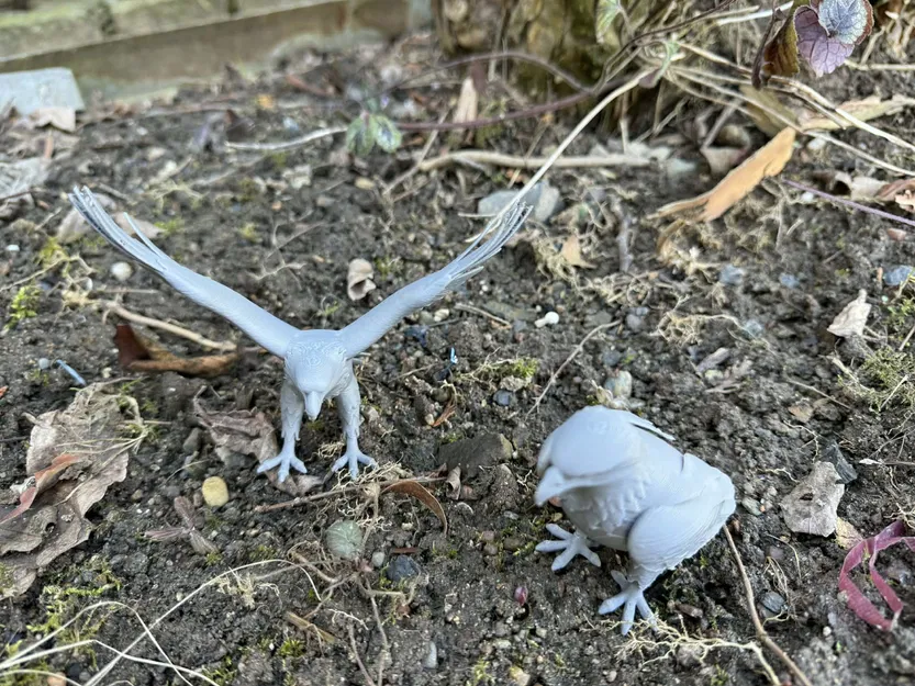 Đại bàng đậu dang rộng cánh (Eagles, sitting, with wings spread) - Image 8