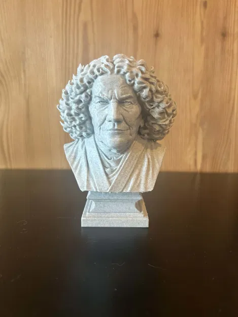 Lina Vassylivna Kostenko — Tượng Bust - Image 2