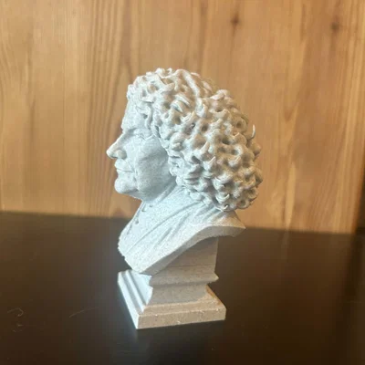 Lina Vassylivna Kostenko — Tượng Bust