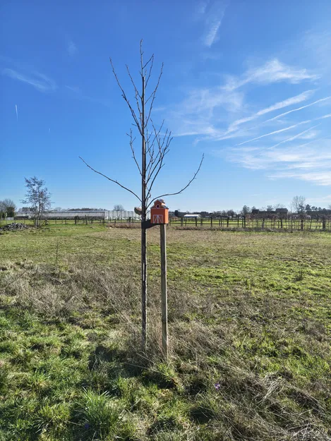 Nhà chim kiểu barn – Barn style birdhouse 1 - Image 4