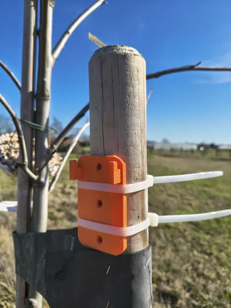 Nhà chim kiểu barn – Barn style birdhouse 1 - Image 5