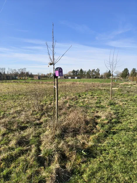 Nhà chim kiểu barn 2 (Barn style birdhouse 2) - Image 6