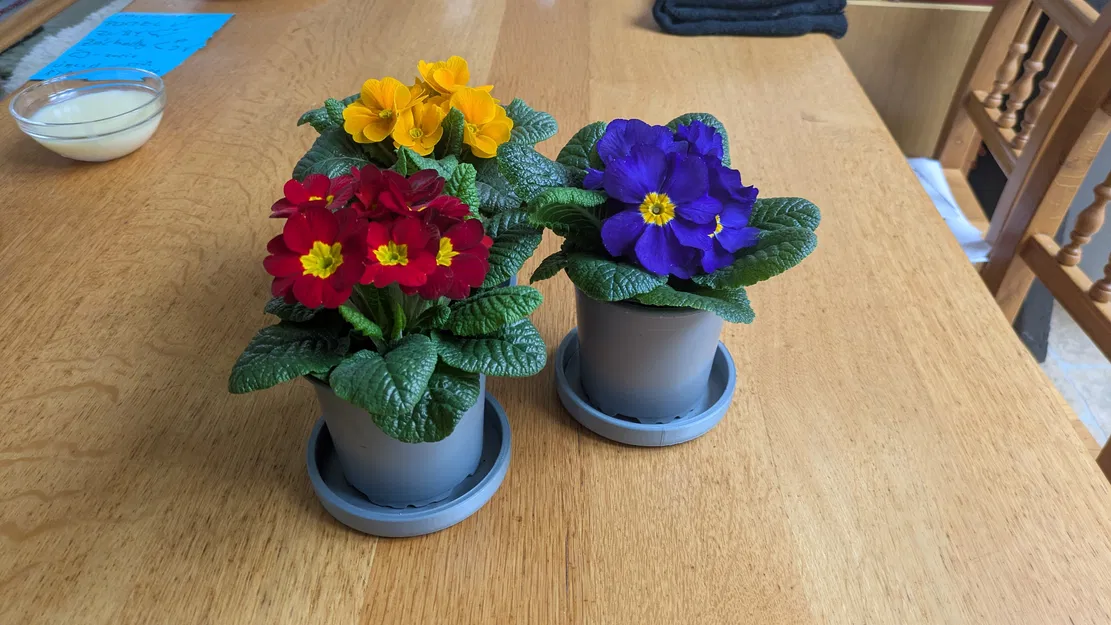 Đế Lót Chậu Hoa 100mm In 3D - Image 1