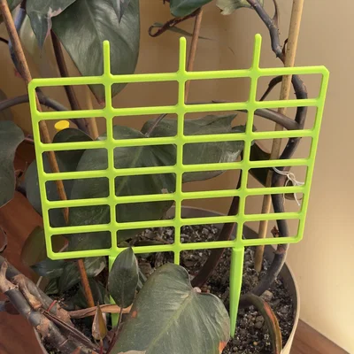 Giá Đỡ Cây Cảnh 3D - Giúp Cây Vươn Cao, Dáng Đẹp