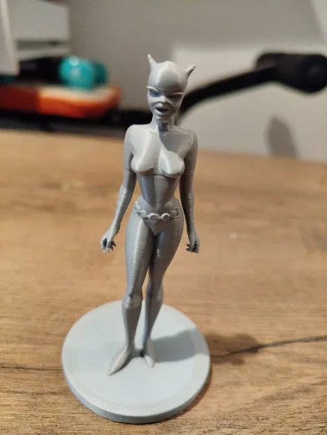 Mô Hình Catwoman Hoạt Hình 3D Đẹp Mắt - Image 3