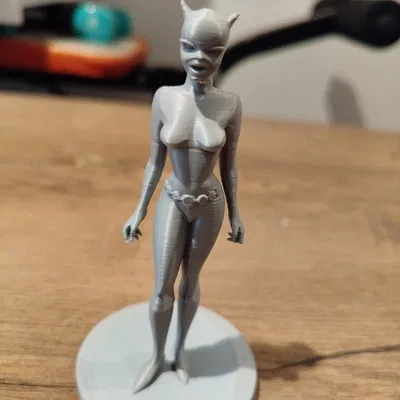 Mô Hình Catwoman Hoạt Hình 3D Đẹp Mắt