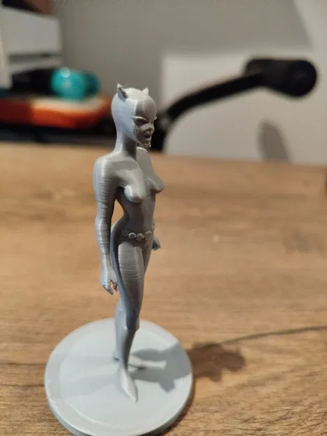 Mô Hình Catwoman Hoạt Hình 3D Đẹp Mắt - Image 4