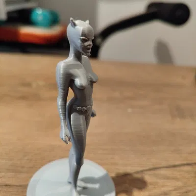 Mô Hình Catwoman Hoạt Hình 3D Đẹp Mắt