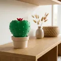 Decor Kệ Hình Xương Rồng Tròn (Round Cactus Botanical Shelf Decor) - Thumbnail 1