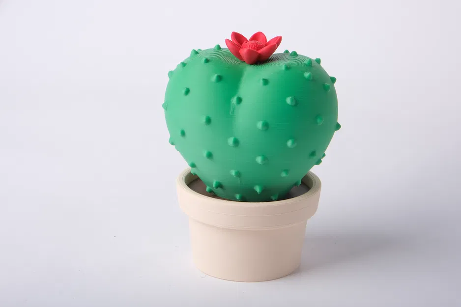 Decor Kệ Hình Xương Rồng Tròn (Round Cactus Botanical Shelf Decor) - Image 2