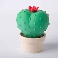 Decor Kệ Hình Xương Rồng Tròn (Round Cactus Botanical Shelf Decor) - Thumbnail 2