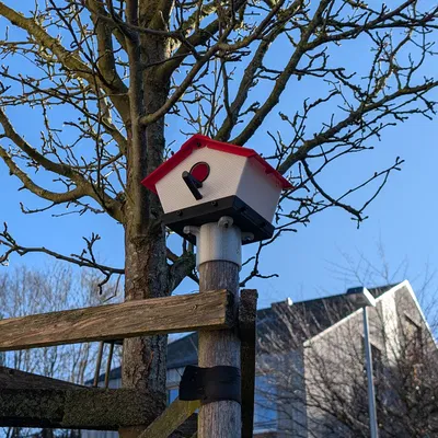 Nhà chim cho chim bạc má xanh (Birdhouse for blue tits)