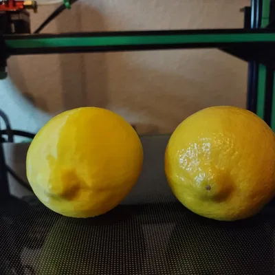 Chanh (Lemon) – Mẫu scan 3D đầu tay