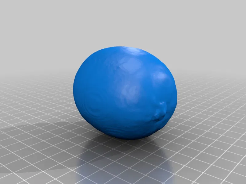 Chanh (Lemon) – Mẫu scan 3D đầu tay - Image 2