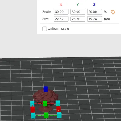 Cây bụi mô hình tỉ lệ N cho cảnh quan thu nhỏ