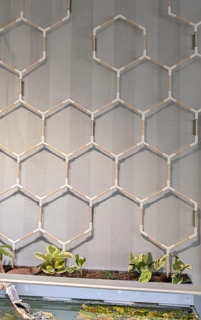Giàn leo lục giác (Hexagon Trellis/Rankgitter) cho que tre/gỗ beech 6mm - Image 1