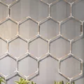 Giàn leo lục giác (Hexagon Trellis/Rankgitter) cho que tre/gỗ beech 6mm - Thumbnail 1