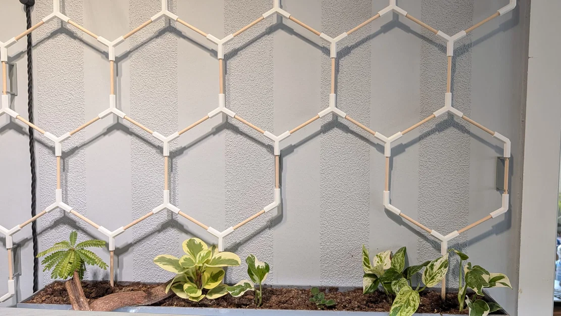 Giàn leo lục giác (Hexagon Trellis/Rankgitter) cho que tre/gỗ beech 6mm - Image 2