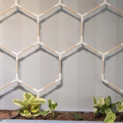 Giàn leo lục giác (Hexagon Trellis/Rankgitter) cho que tre/gỗ beech 6mm