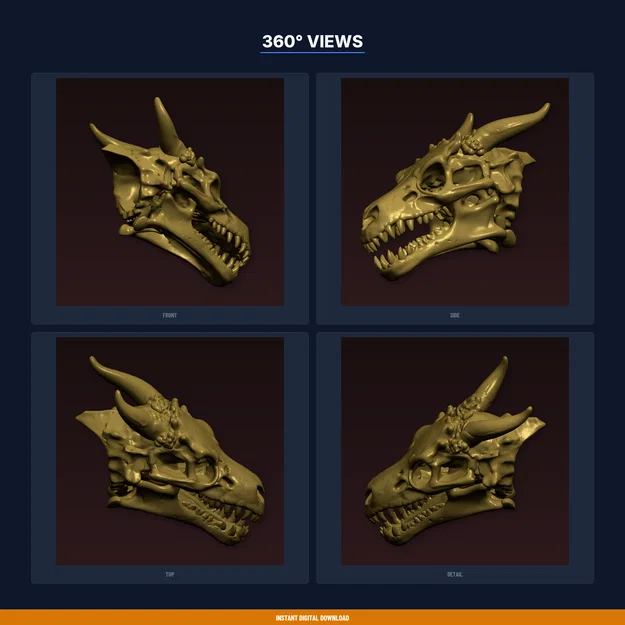 Giá Treo Cúp Sọ Rồng (Dragon Skull Trophy Mount) – File STL In 3D - Image 3