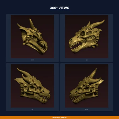 Giá Treo Cúp Sọ Rồng (Dragon Skull Trophy Mount) – File STL In 3D
