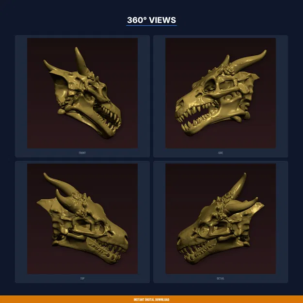 Giá Treo Cúp Sọ Rồng (Dragon Skull Trophy Mount) - File STL In 3D - Image 3