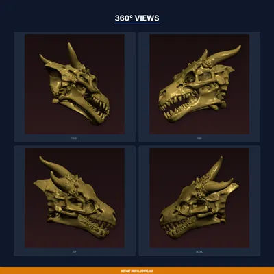 Giá Treo Cúp Sọ Rồng (Dragon Skull Trophy Mount) - File STL In 3D