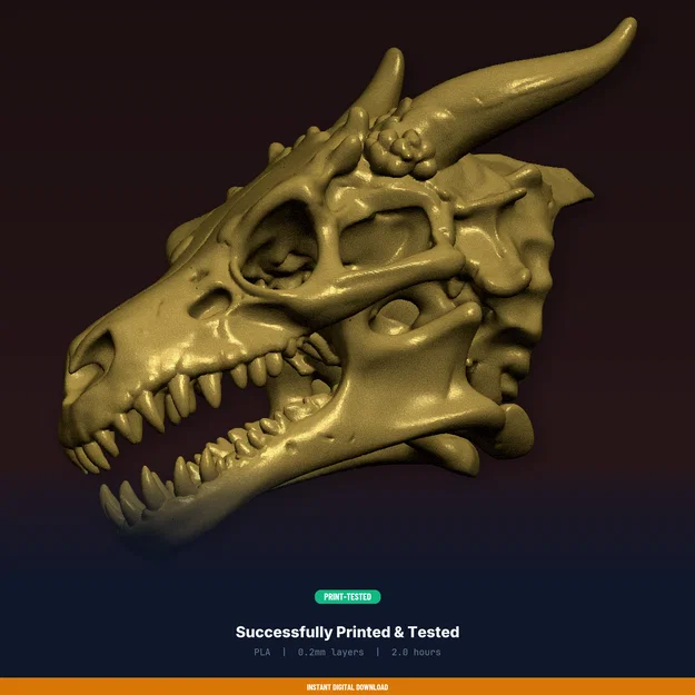 Giá Treo Cúp Sọ Rồng (Dragon Skull Trophy Mount) – File STL In 3D - Image 8